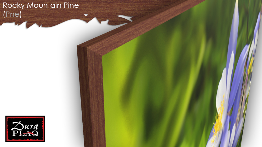 Rocky Mountain Pine Edge Option